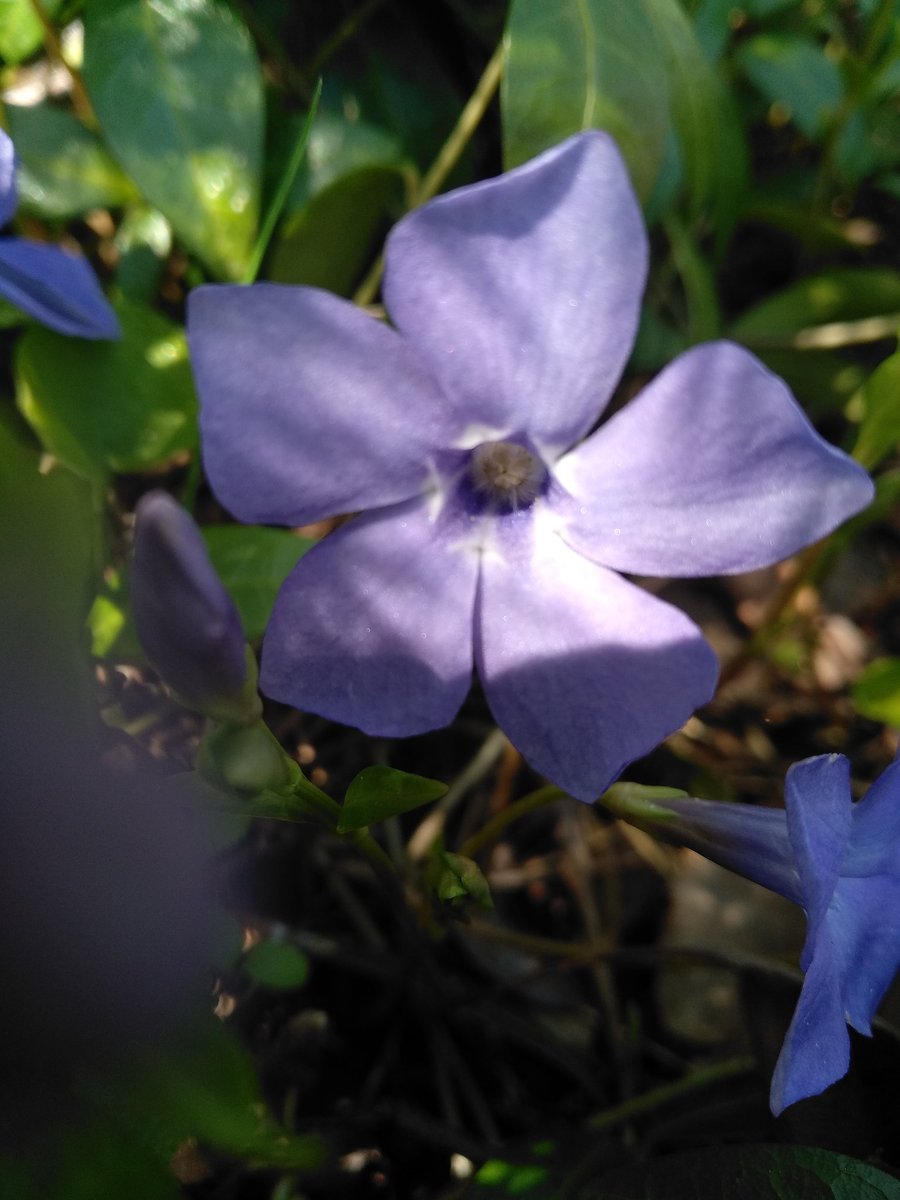 Yourproblems8's tweet image. Ну наконец-то 🌼💙