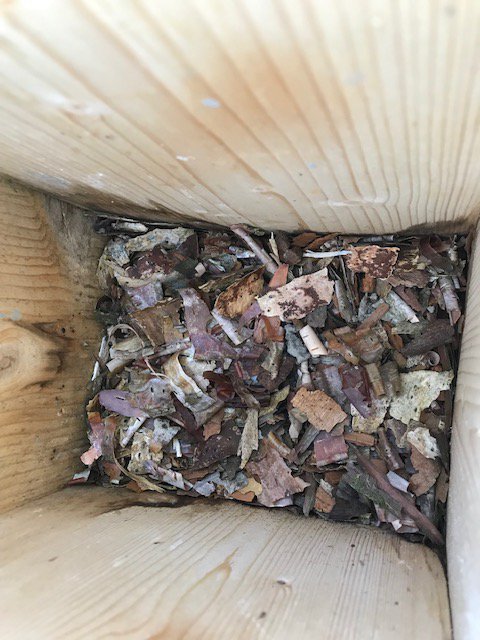 AMennerat's tweet photo. Easter eggs at @UiBmatnat's Arboretet - slightly (1-2 days) earlier start than 2018 &amp; 2017. Looks like a few nuthatch pairs are settling down this year in our nestboxes, in addition to the usual trio (BT, GT, PF) #EECRG @TEG_UiB https://t.co/zM8mbUCvcu