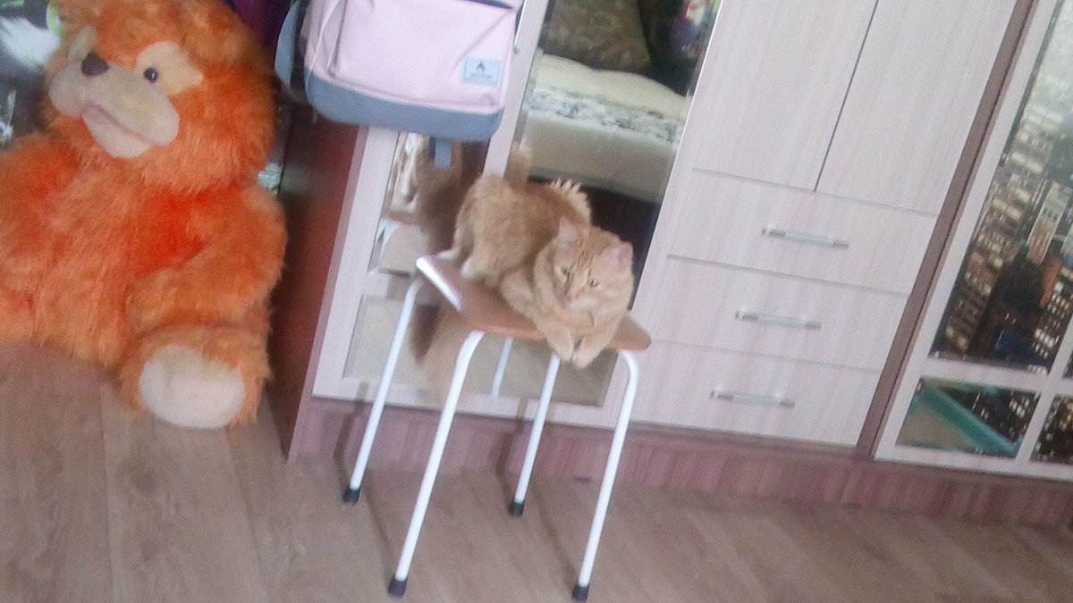 LisaB29519970's tweet photo. /кажется Люциферу удо��но😐/ https://t.co/iSTv9Q5OKf