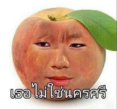 𓐄 ออหอ tweet media