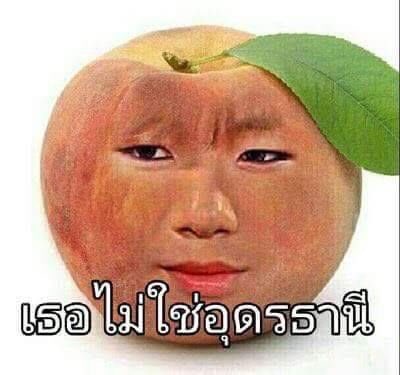 𓐄 ออหอ tweet media
