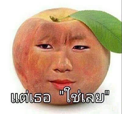 𓐄 ออหอ tweet media