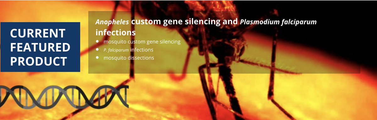 Infravec2 tweet media