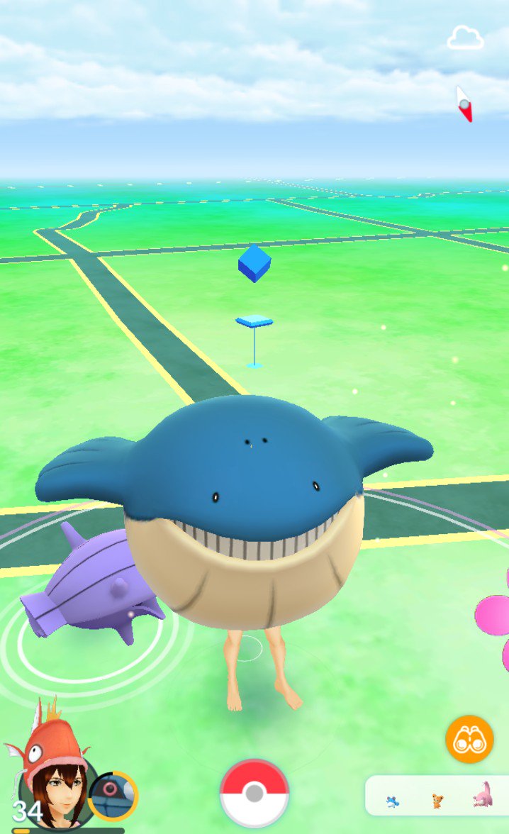 ホエルコ ホエルオー カイオーガ に進化する みんなのポケgo みんポケ