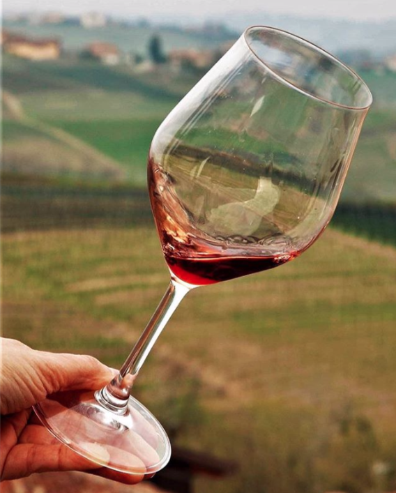 [Repost]
Wine tastes even better if drank in front of the vines it comes from. 
Thank you Antonella for the shot.

#ceretto #cerettowinery #langhe #langheroero #barolodocg #cerettobarolo #nebbiolo #barolo #wine #winelover