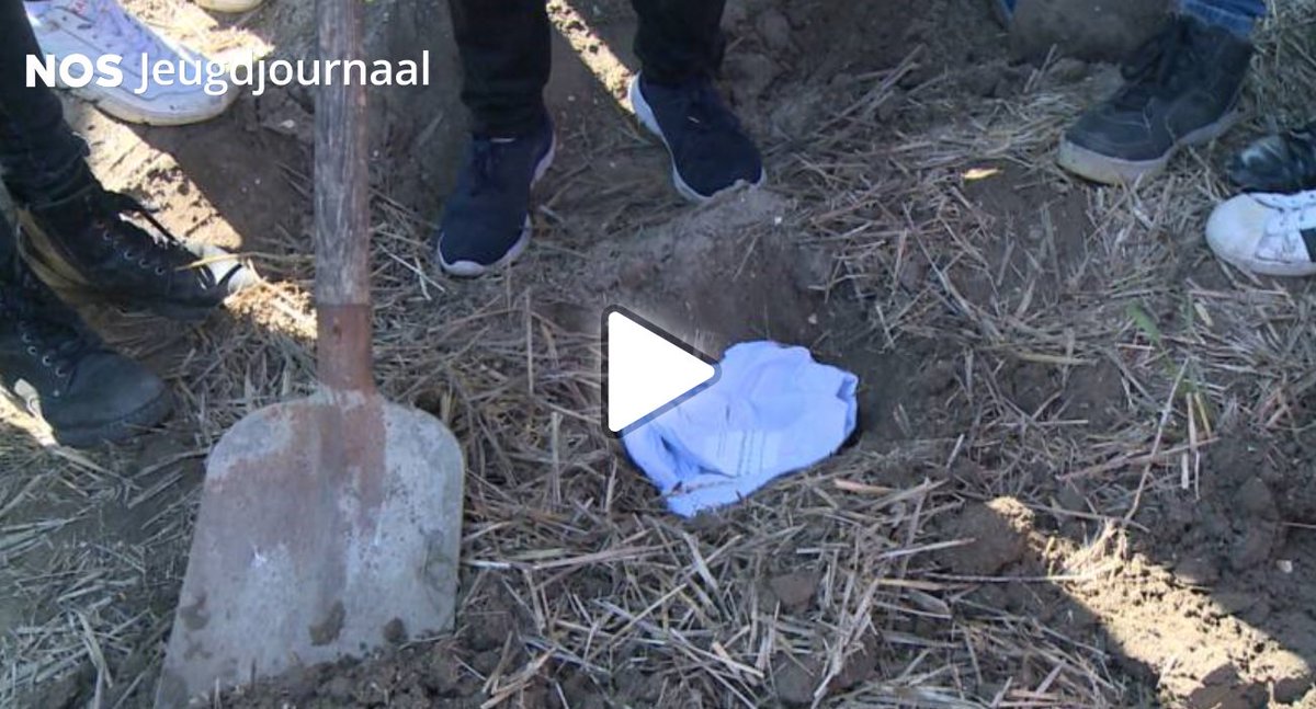 Ook @jeugdjournaal heeft aandacht voor de Soil Your Undies Challenge. Kinderen in #Creil begroeven hun onderbroeken tussen de #tulpen. Ben jij je ook bewust van het belang van een gezonde #bodem? Doe vandaag nog mee! #bestegrond #soilyourundies2019nl

jeugdjournaal.nl/artikel/228086…