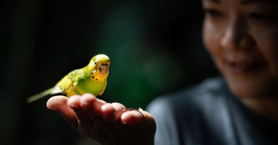 pucvm's tweet photo. Let’s Build a Future Together! Learn about our new hospital project and how it will positively impact the health and well-being of animals and people in Indiana and beyond.

Learn more &amp; support at https://t.co/w4gmTdTR1A

#SupportPVM #PVM60 #Purdue150 #TakeGiantLeaps https://t.co/9ZoR0yhrCQ