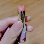 ポールアンドジョーの猫リップは使っていくうちに違う動物になるらしいw