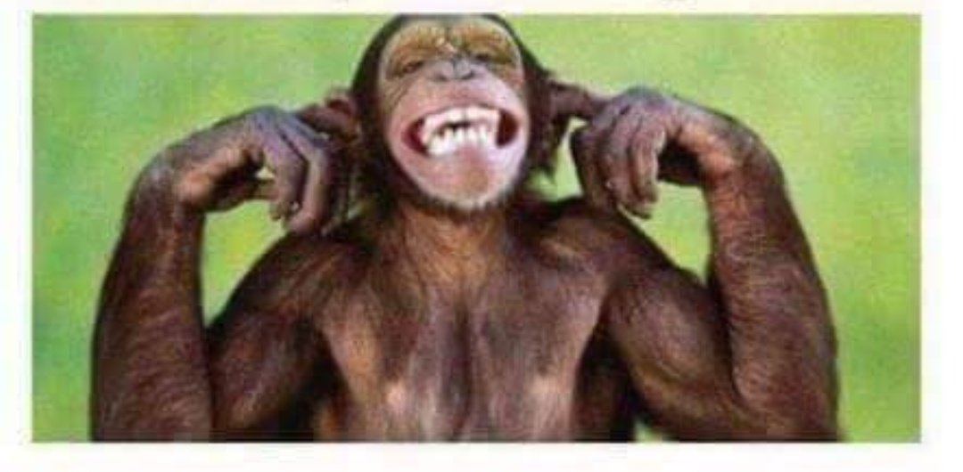 Mugwediphuluso1's tweet photo. I would rather chop down a baobab tree with minora razor #ThanGoBackToMyEx https://t.co/six17dd2FZ