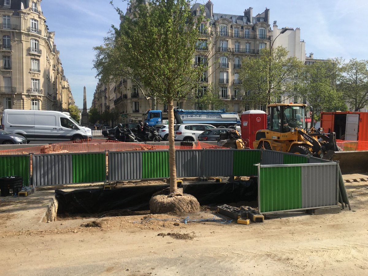 3/3 #infochantier plantation des arbres des #AlléesdeNeuilly sur l'avenue Charles de Gaulle pour la reconstitution du double alignement historique.
#environnement @VilledeNeuilly