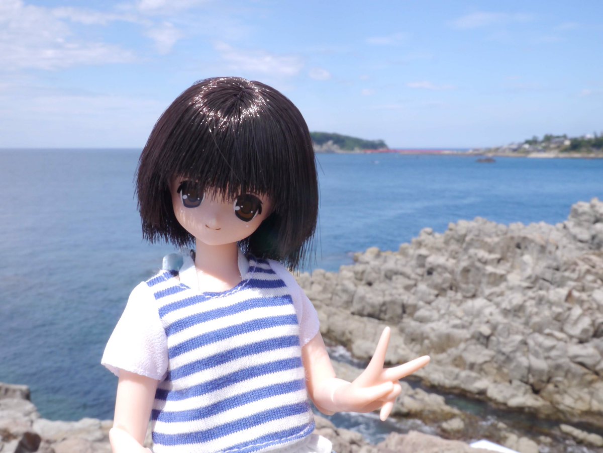 お多福饅頭 On Twitter ドールをトンビ にさらわれる場合があることを驚いている方が多いので 1 6以下だと カメラ片手に もう片方の手でドールを持ち上げて撮影する人も多いと思うけど トンビ にはそれが食べ物に見えてしまうわけです 要はイカ焼きやソフトクリーム