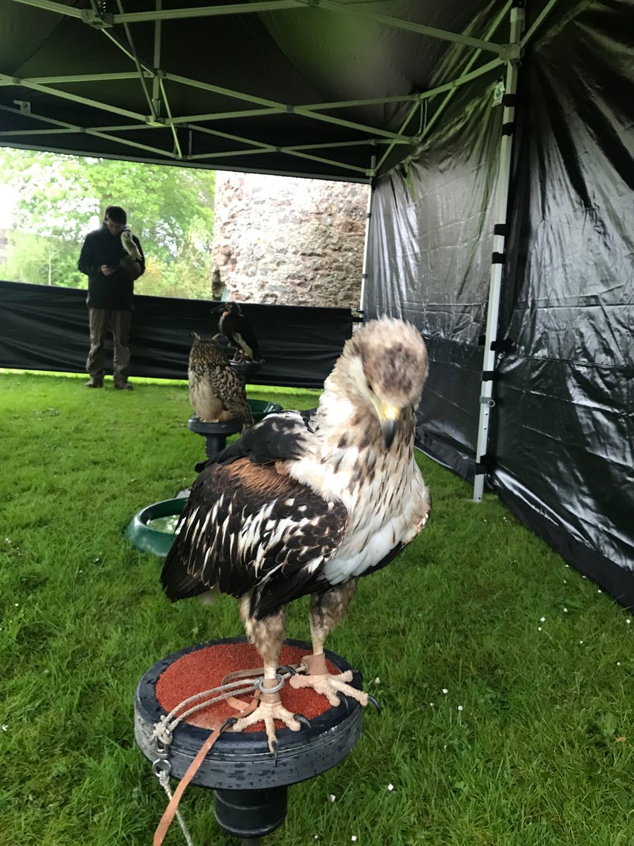 Castell Talacharn (@laugharnecastle) on Twitter photo 