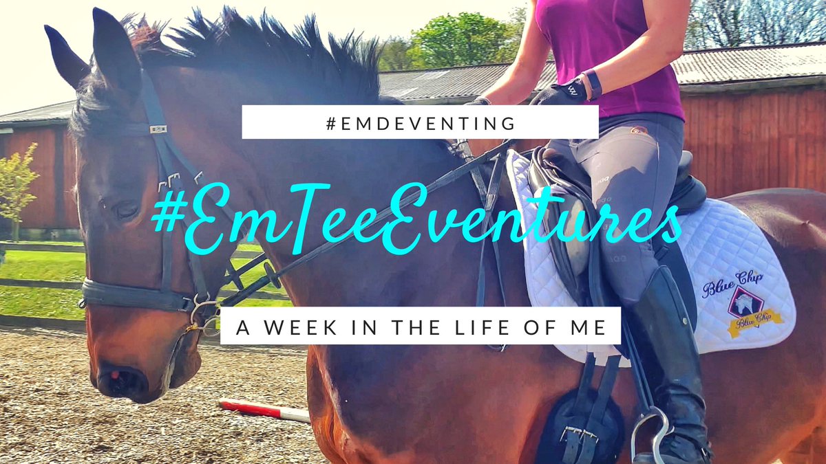 Featured image of post Elphick Event Ponies Net Worth