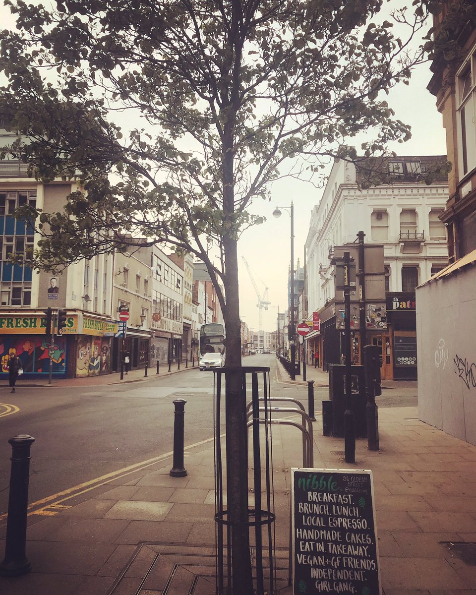nibble nq tweet media