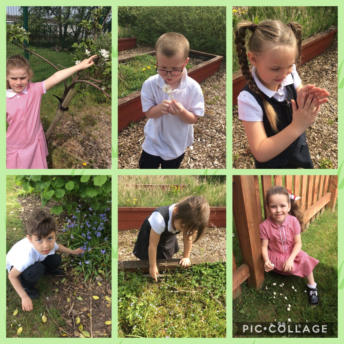 SunflowersMLP's tweet photo. Looking for seasonal changes in our environment 🌿🐞🌸@MabLanePri 
#Participatesconstructively https://t.co/c5OxYsD6Bk