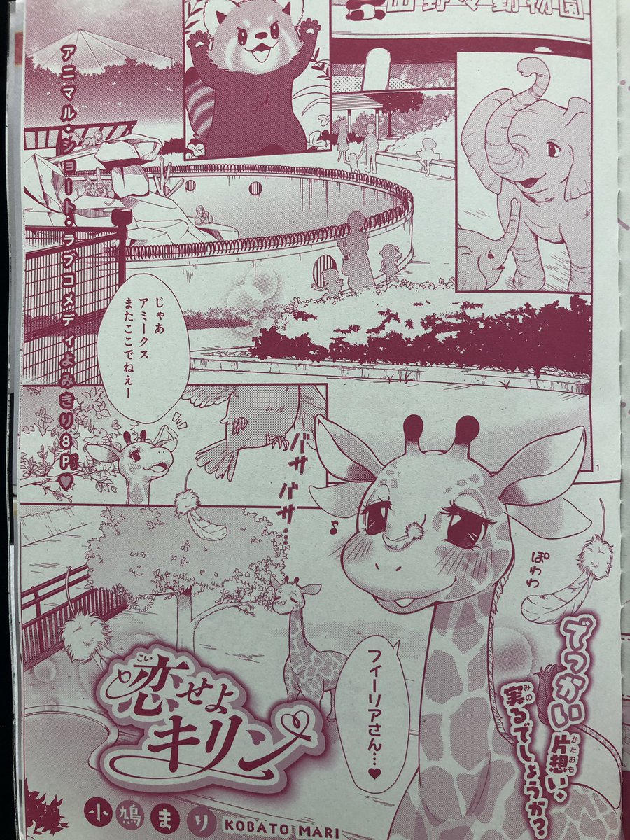 月刊asuka6月号 発売中 月刊asuka6月号 発売中