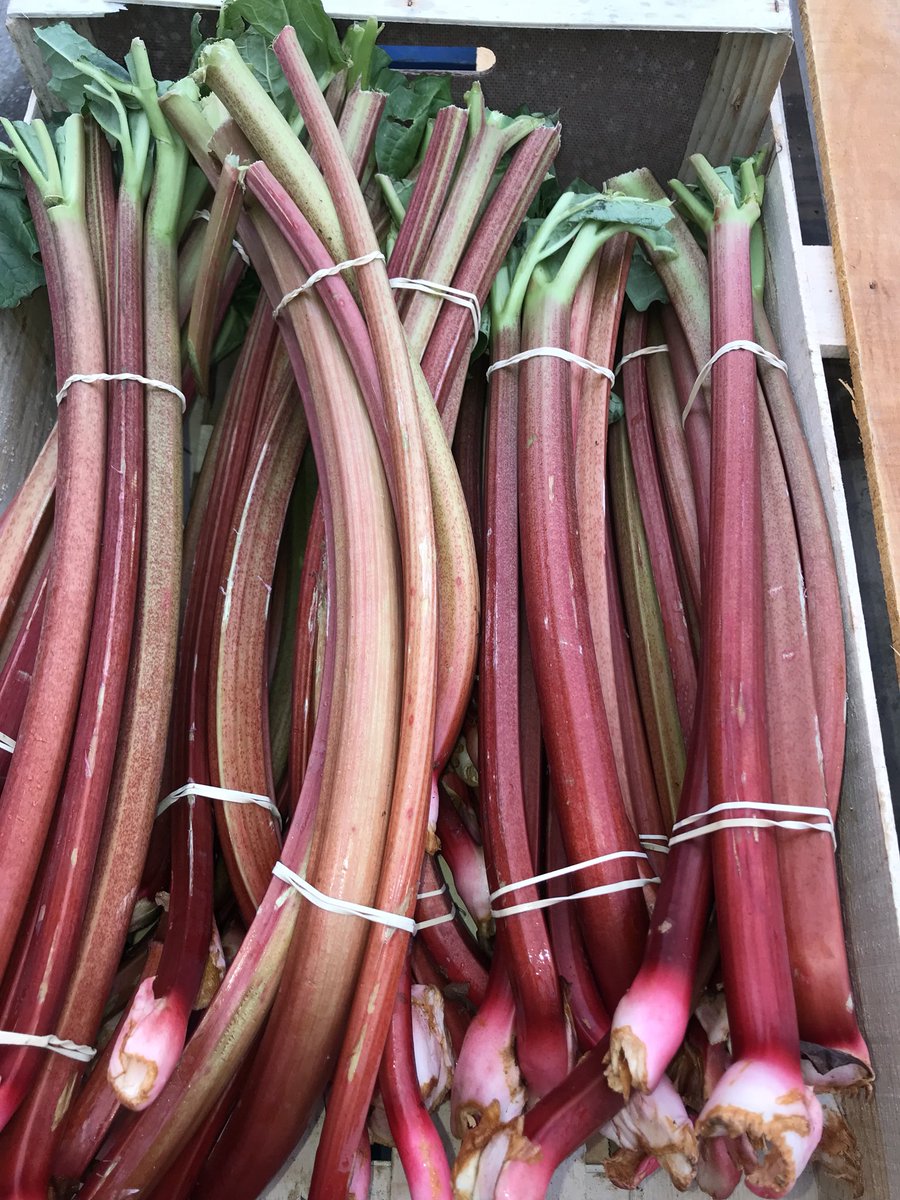 LimeKing3's tweet photo. Some lovely  Irish produce just arrived fresh today such a pleasure to work with all theses Irish growers! @jtattshotmailc1 https://t.co/3dYYOAgQjk