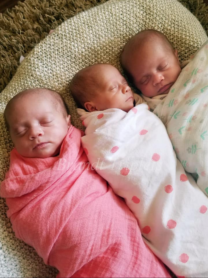 Benjamin Brandt tweet media