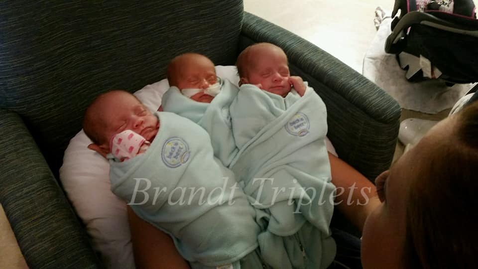 Benjamin Brandt tweet media