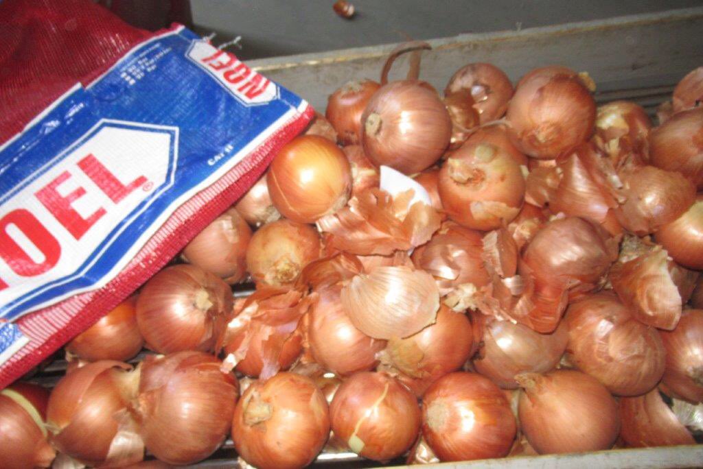 Denimpex's tweet photo. Onions from all over the world ! https://t.co/o5YA45Kk3p