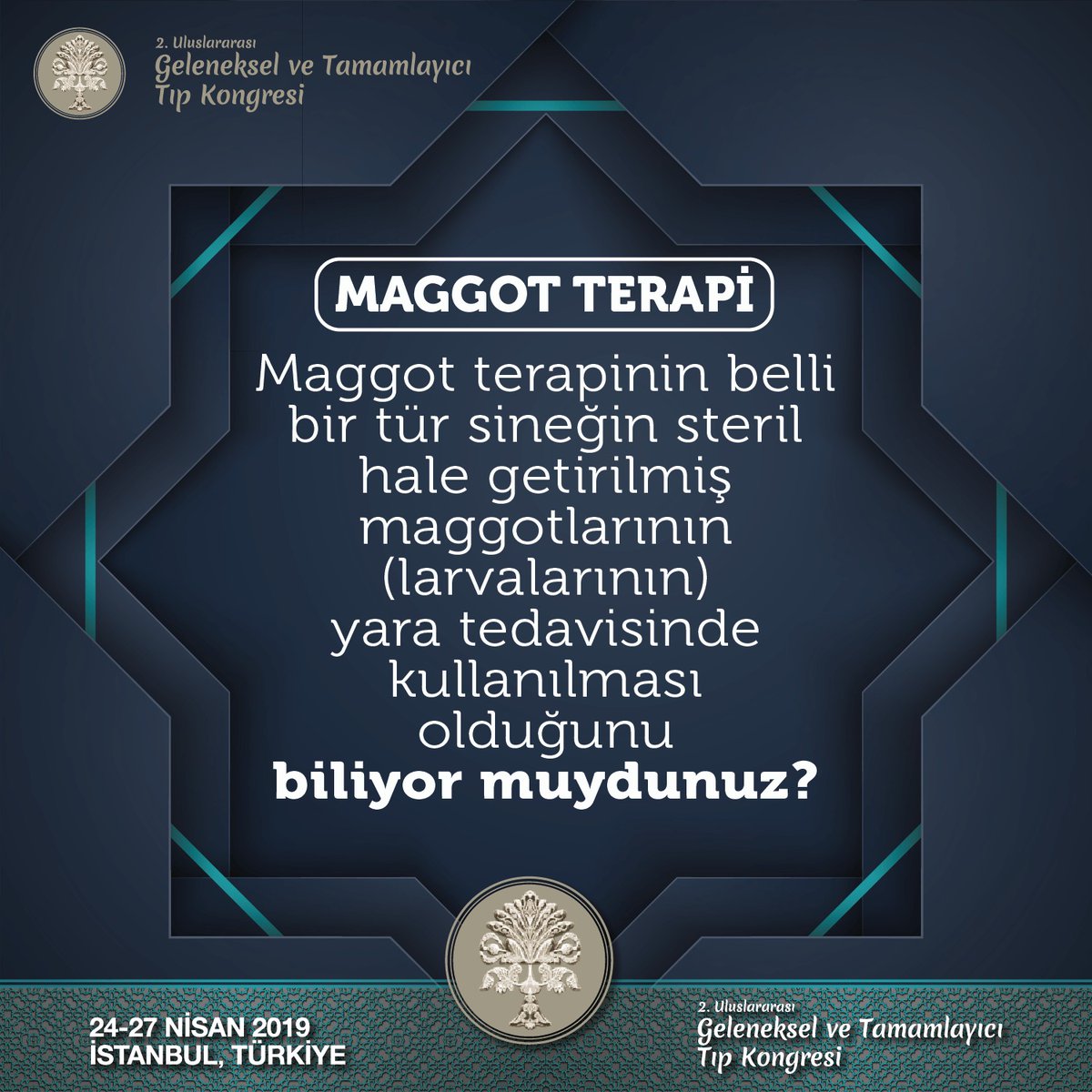 Maggot terapinin belli bir tür sineğin steril hale getirilmiş maggotlarının (larvalarının) yara tedavisinde kullanılması olduğunu biliyor muydunuz? #DozundaYerinde