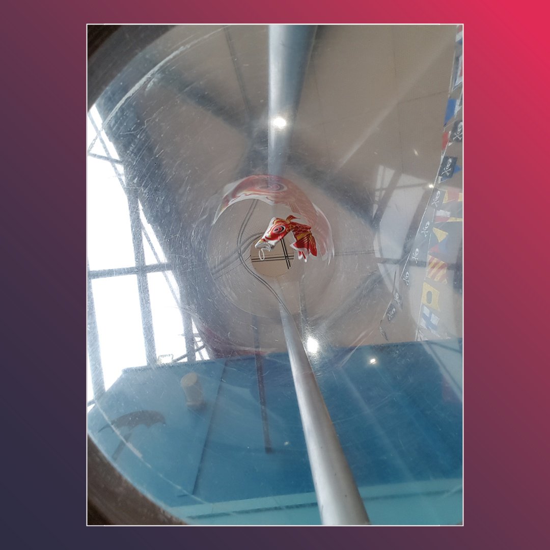 gsc1's tweet photo. Incase you missed it!
Here are our compaction winners from the #MyGSC photography competition.
We love seeing your perspective so remember to share your best science centre snaps with #MyGSC https://t.co/W15z2WYXTP