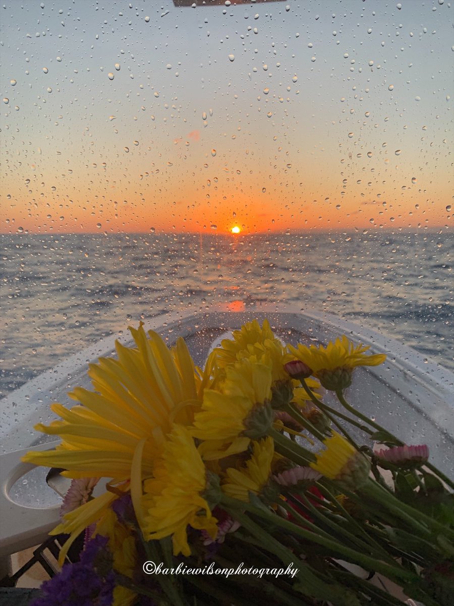 barbiedoll_eyw's tweet photo. Gm from the reef! This #fishchick is fishing today! #fishwifelife #keywest #sunrise https://t.co/rhZTm1fnr6