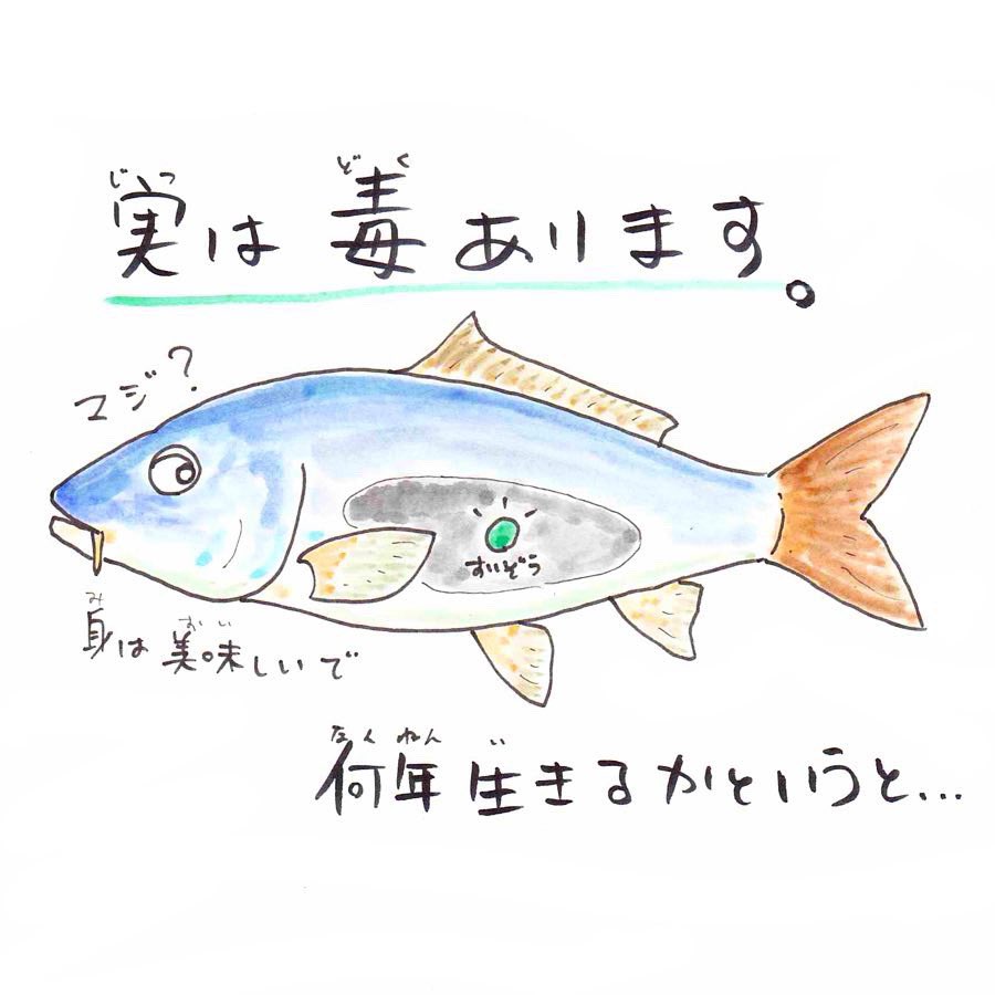 ギネス記録に載った鯉の最長寿命は岐阜県東白川村の「花子」226才