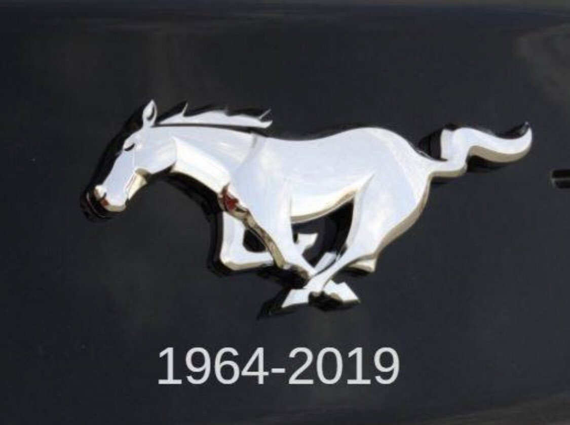 We celebrate the 55th Anniversary of the Ford Mustang today from 4-7:00! Come enjoy free Mustang gifts, raffle, and the North Texas Mustang Club.