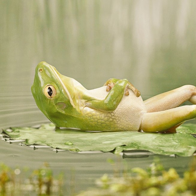 #coachingperceptif C'est le relâchement qui permet l'action. C'est vrai pour les muscles et pour notre cerveau et bien-être. #attentionmanagement