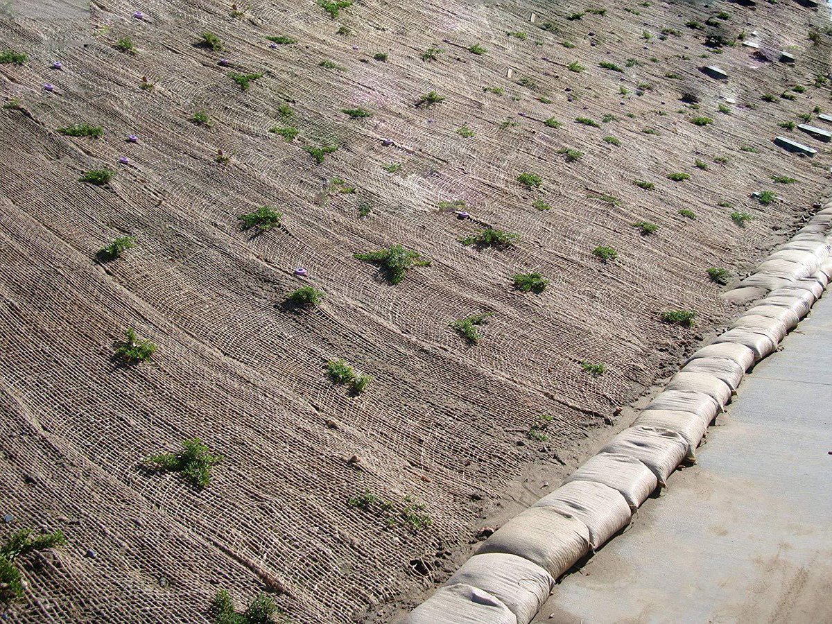 oceanglobalOG's tweet photo. #Ocean Global provide #Erosion Control Mats, #Support for #vegetation to take deep roots #before it #decomposes into the #soil, https://t.co/5X6HoVQCpq https://t.co/oFI7836tLu