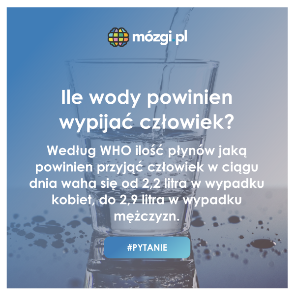 MozgiPL tweet picture