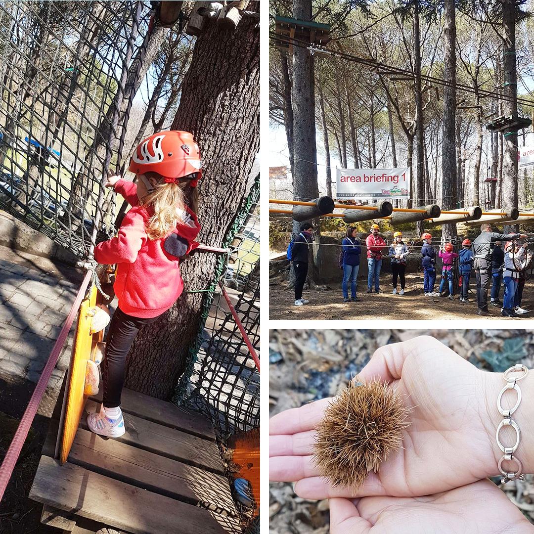 Oggi vi vogliamo consigliare qualche bel posto da visitare in compagnia dei vostri bambini nei pressi dell'#Etna!👨‍👩‍👧💼⛰
In nostro viaggio parte dalla #Circumetnea, fermata Misterbianco...🚂
👉Leggi l'articolo completo sul blog su saporapp.com
.
#saporappinviaggio