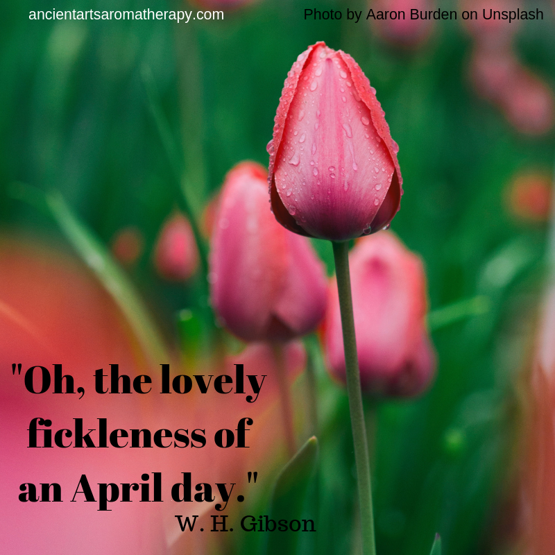 AAAromatherapy's tweet photo. Wednesday Wisdom Quote
#aprilquote https://t.co/Js8JM0nwQU