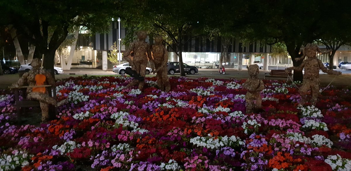 ColinJamesTiser's tweet photo. Must say @CityofAdelaide love keep bumping into the #leafies. Great work you and @WOMADelaide. Thanks. https://t.co/WZMcdxSSZ1