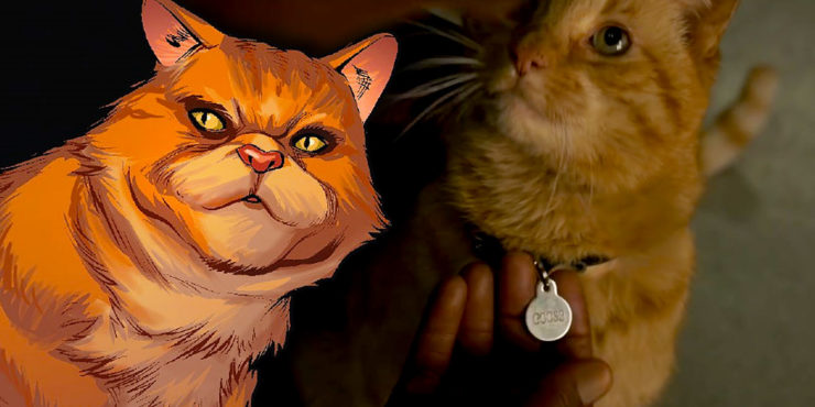 TheGeekPages's tweet image. Almost stole the movie (for me)! Here's everything You Need to Know About Captain Marvel's Cat. 
qoo.ly/wxktq #comics #comic #Marvel #Marvelcomics #Avengers #CaptainMarvel #Endgame