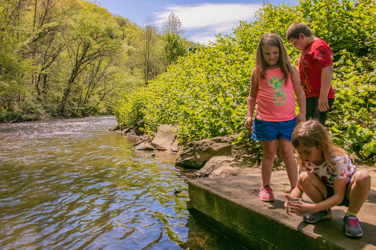 ENC_TU's tweet photo. Yesterday, was an exciting day for the students at Van Elementary School in Van, WV, as they released their Trout in the Classroom trout in Pond Fork, which runs beside the school! The whole school showed up to watch the release! #enctu https://t.co/ZHZcthE6vl