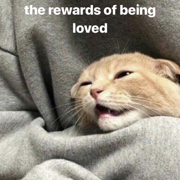 feartie's tweet image. 