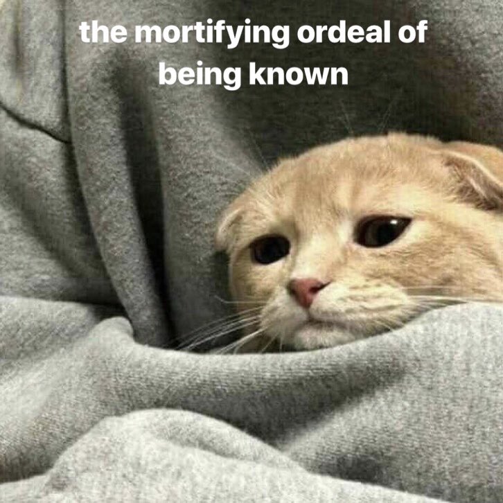 feartie's tweet image. 