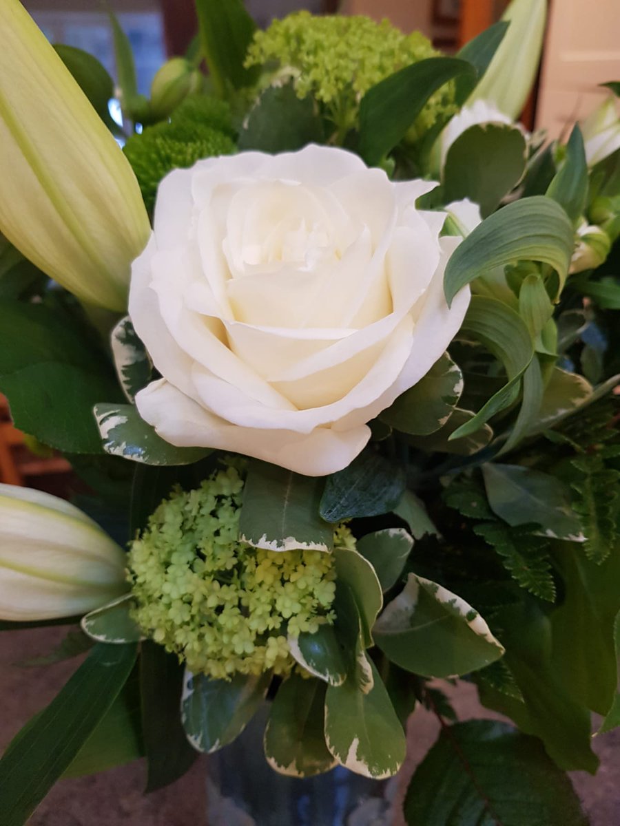 Why is it that it we need others to tell us how great we are doing?  Why don't we give ourselves bouquets - real or metaphorical? Fortunately,  by the time we get to 50+, we normally have fabulous friends like these to remind us of our worth.