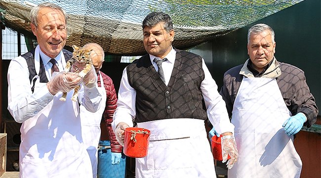 Edirne'de kedileri tava ciğerle beslediler...

bit.ly/2W0YKON