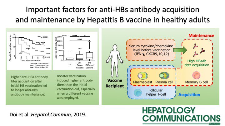 Hepatology Communications (@hepcommjournal) on Twitter photo What are the Immune Determinants in the Hepatitis B vaccination series for adults? Read here to find out more! ow.ly/o0DH30ovQF0 <a href="/GSzaboMD/">Gyongyi Szabo</a> <a href="/AdamMikMD/">Adam Mikolajczyk</a> #VisualAbstract What are the Immune Determinants in the Hepatitis B vaccination series for adults? Read here to find out more! ow.ly/o0DH30ovQF0 <a href="/GSzaboMD/">Gyongyi Szabo</a> <a href="/AdamMikMD/">Adam Mikolajczyk</a> #VisualAbstract