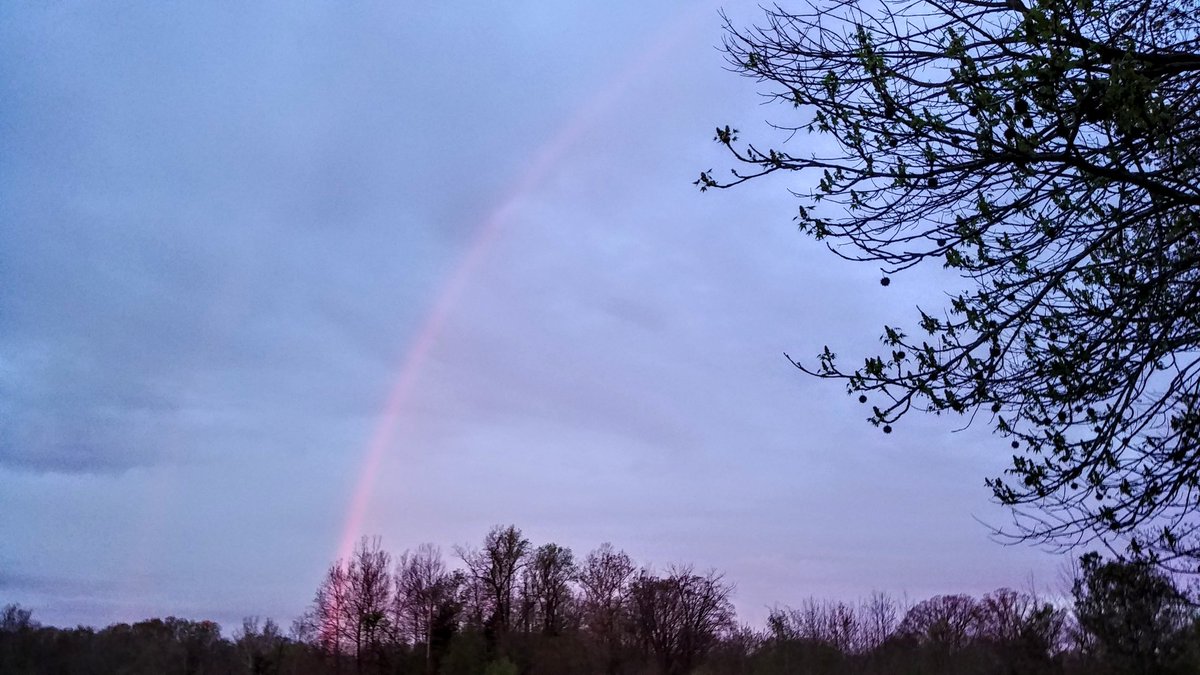 TribStarSheila's tweet photo. Pink rainbows this morning https://t.co/i44Ff0m7EK