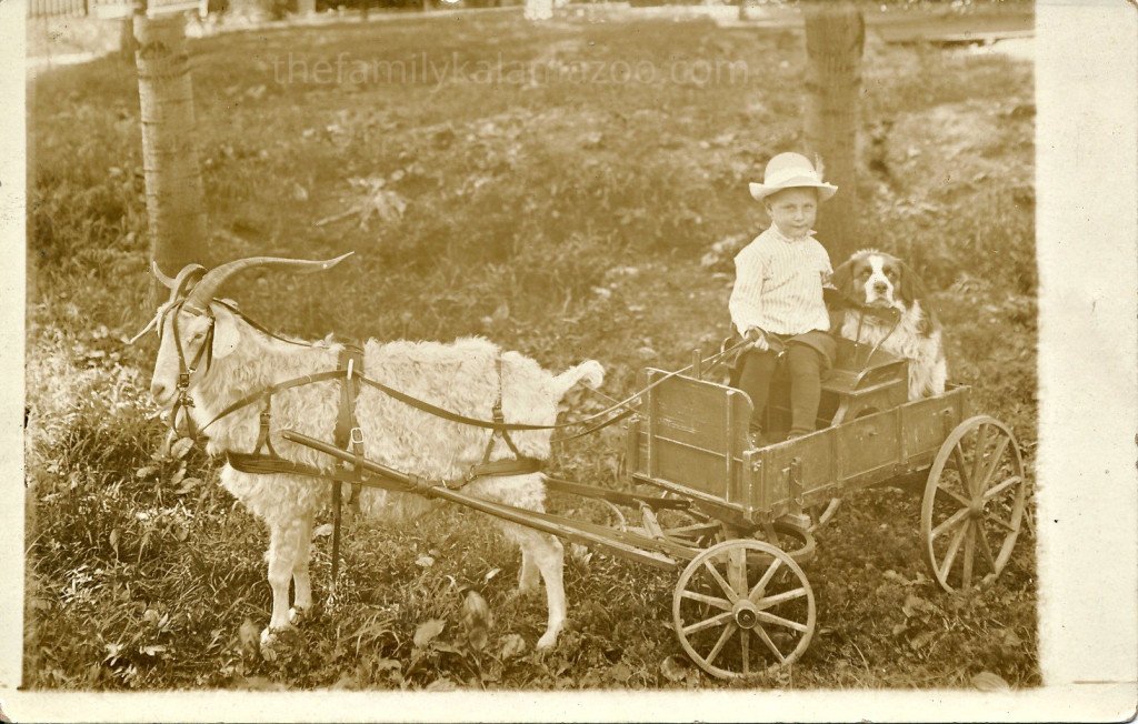 writersitetweet's tweet photo. Jim Van Liere, Dog, Goat, and Cart #Kalamazoo #Michiganhistory #familyhistory #circa1920 https://t.co/gvD8VlvKMv https://t.co/0EFJOzKgP8