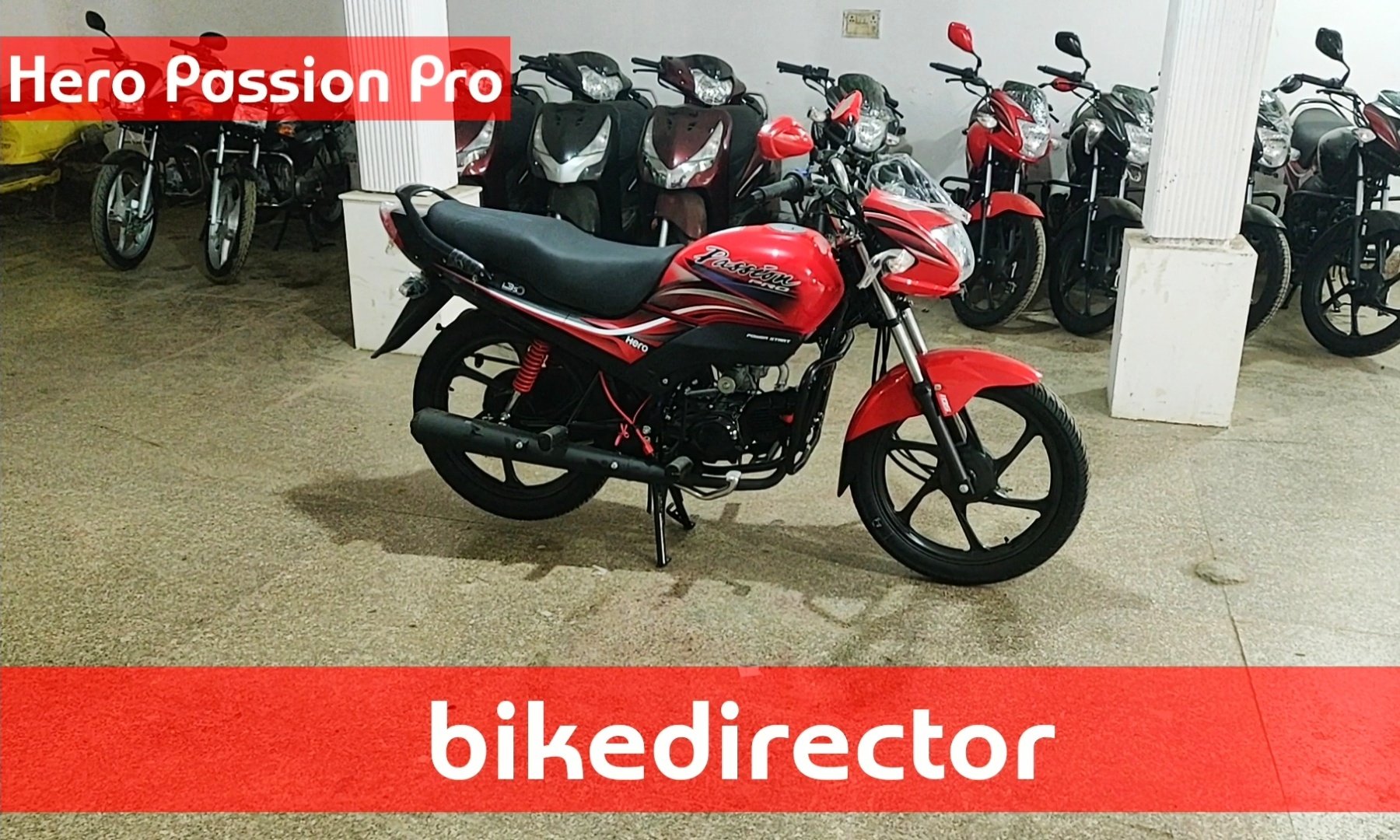 Passion pro ibs i3s price hot sale