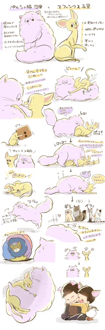 例のねこちゃん
※一十四 
