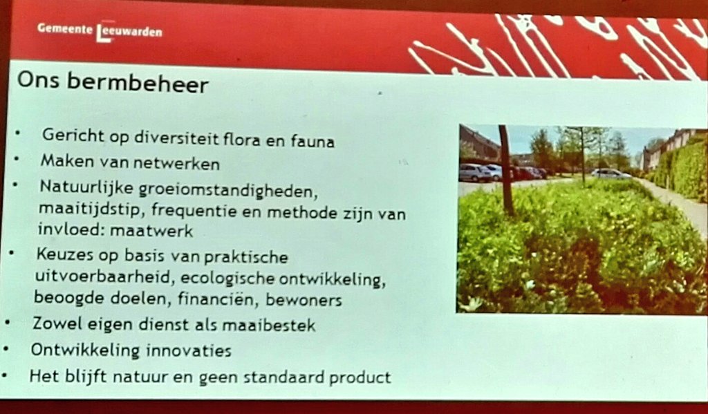 birdingstip's tweet photo. Kruidige inspiratiemiddag bij @wetterskip over bloemrijke dijken, kaden, bermen en meer. Mooie uitwisseling van ervaringen. Zelf iets mogen vertellen over sinusbeheer op dijken https://t.co/x2xuzjjPqm