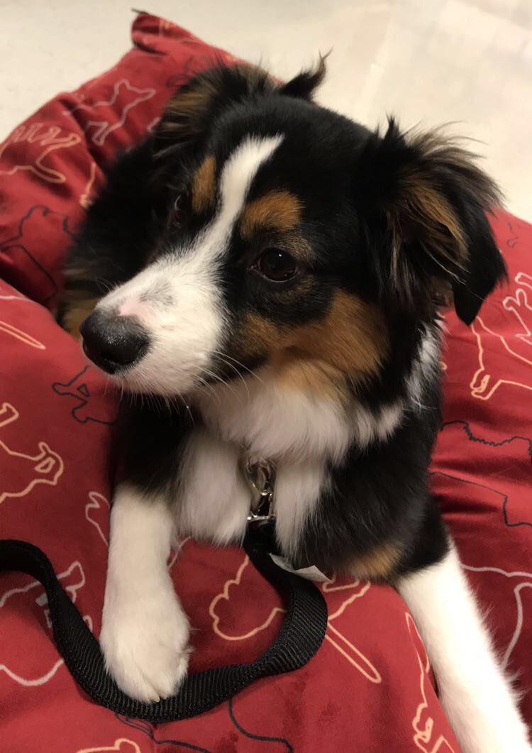 MobiousGov's tweet image. Today (April 24th, 2019) we celebrate the birthday of our Secretary of State Tucker!