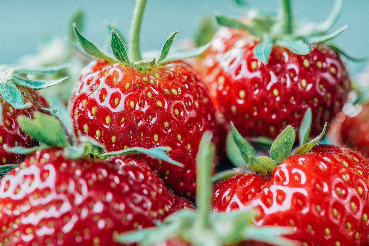 franzrusso's tweet photo. Frutta e verdura a domicilio online: una via semplice per mangiare sano - di @EcoSpiragli -

https://t.co/hUoFuJ6ZMs

#DigitalFood #deliveryonline #tech @InTime_Blog https://t.co/f7RdhtYODd