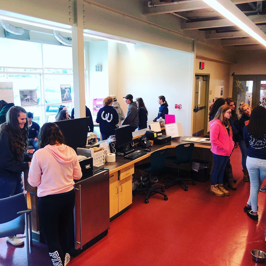 ENSCompanion's tweet photo. Our Juniors presented their marketing projects today!! https://t.co/ILfHWO9Ec2